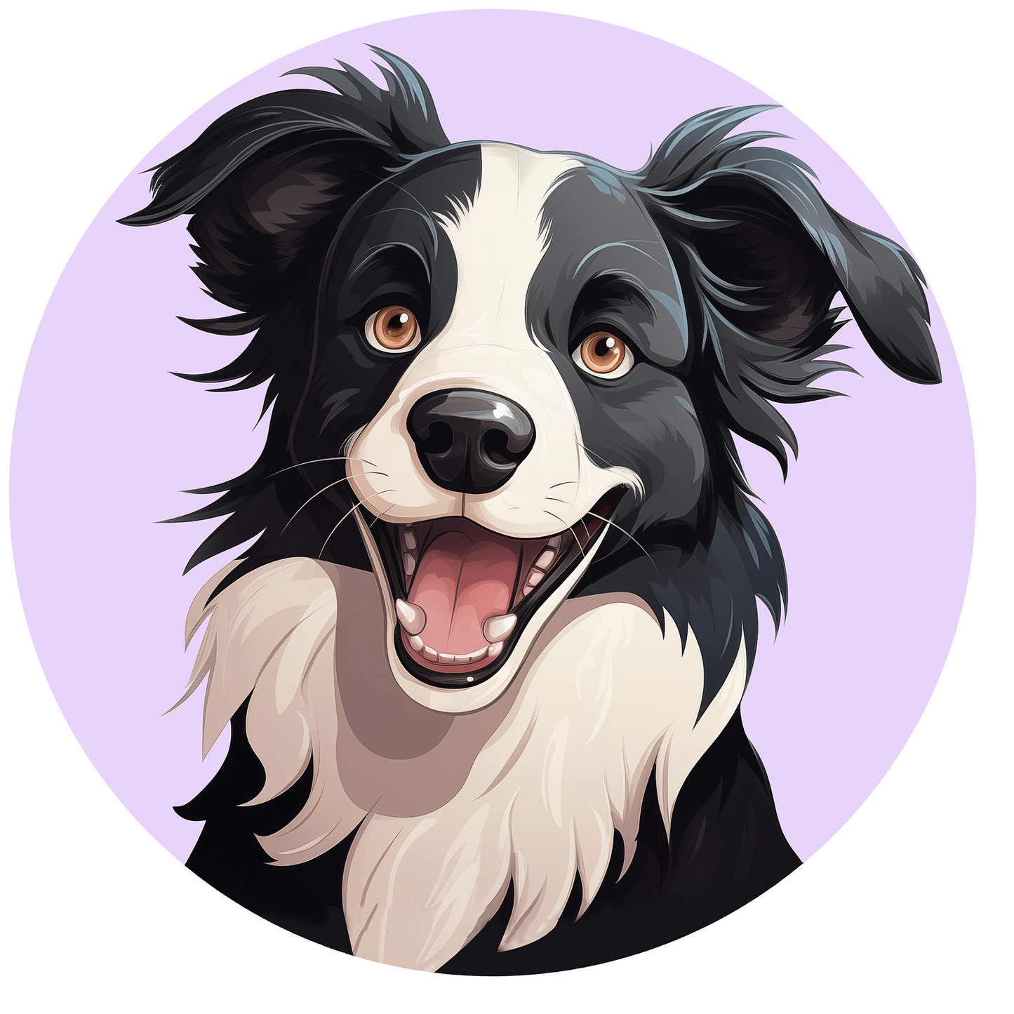 Border Collie